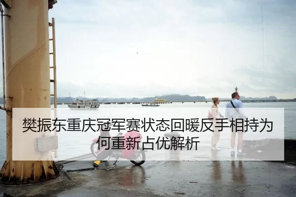 樊振东重庆冠军赛状态回暖反手相持为何重新占优解析