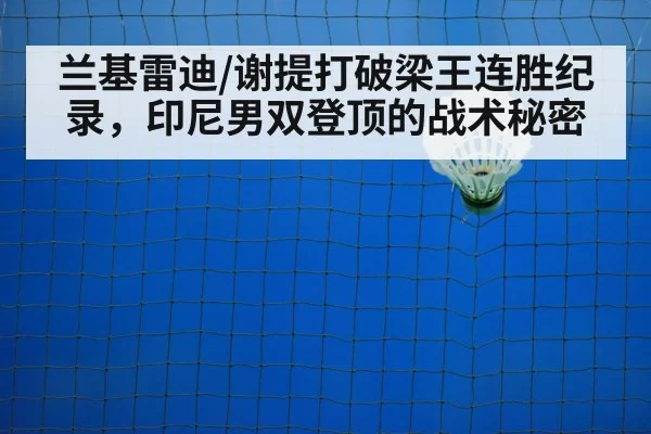 badminton net play