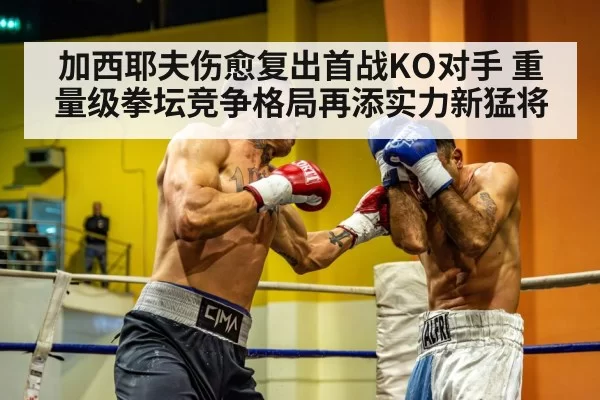 heavyweight boxing ring fight