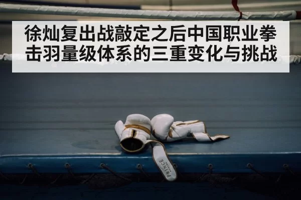 徐灿复出战敲定之后中国职业拳击羽量级体系的三重变化与挑战